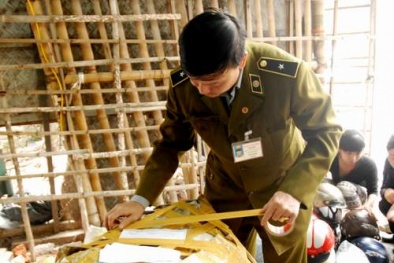 Thị trường mũ bảo hiểm: Những con sóng ngầm